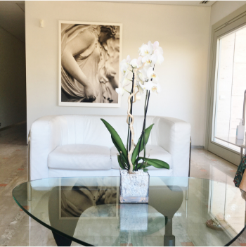 Home Staging Negocios